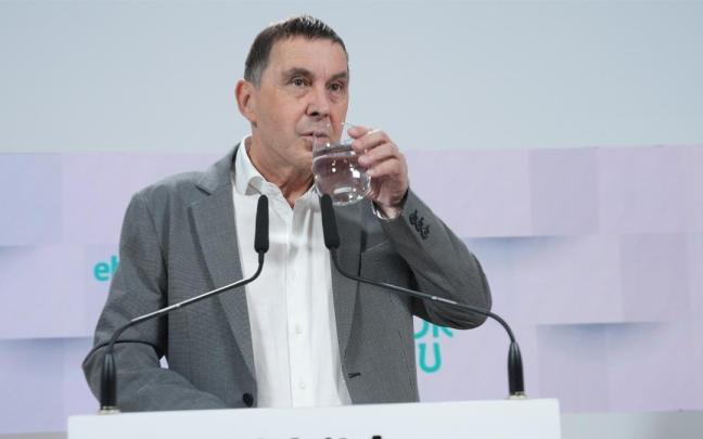 El coordinador general de EH Bildu, Arnaldo Otegi.
