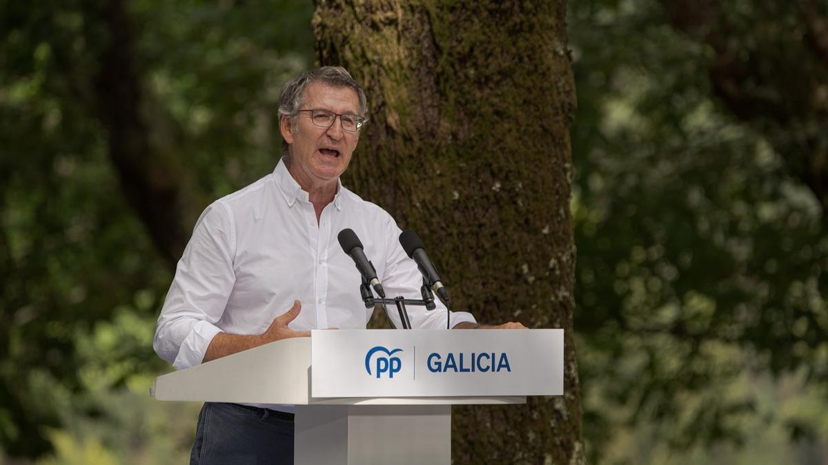 El presidente del PP, Alberto Núñez Feijóo.