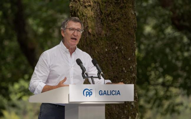 El presidente del PP, Alberto Núñez Feijóo.