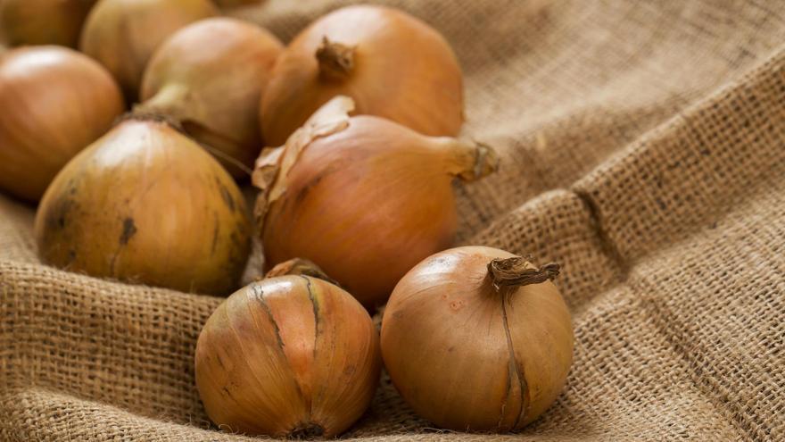 Cebollas sobre tela de saco, que las mantiene aireadas.
