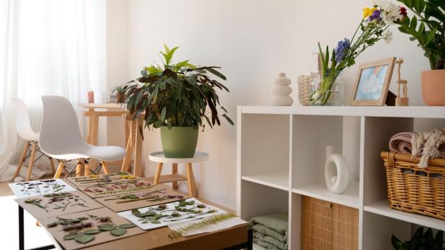 Hogar cuidado y decorado