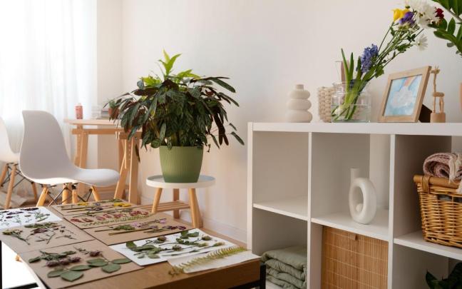 Hogar cuidado y decorado