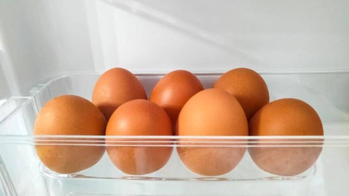 Los huevos tienen una cáscara porosa que actúa como barrera natural contra microorganismos.