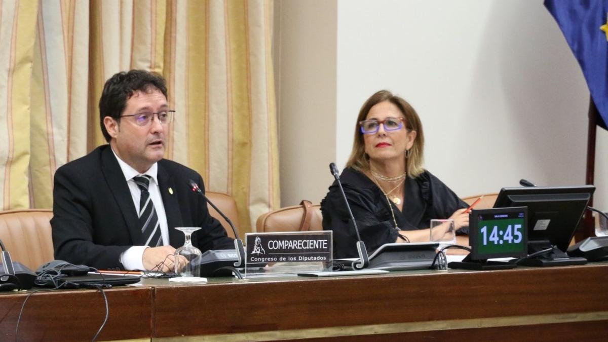 Momento en el que Xabier Txurruka comparece en el Congreso.