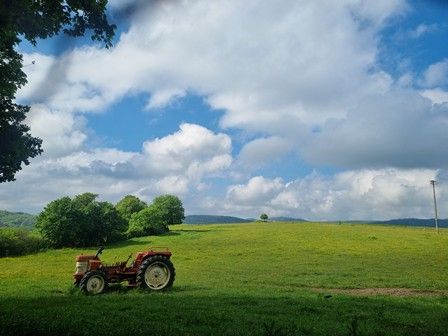La foto "Paradisua" tomada en Beluntza, Urkabustaiz, ganó en 2025