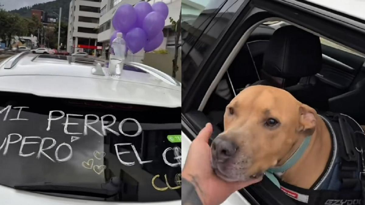 Dos capturas del vídeo.