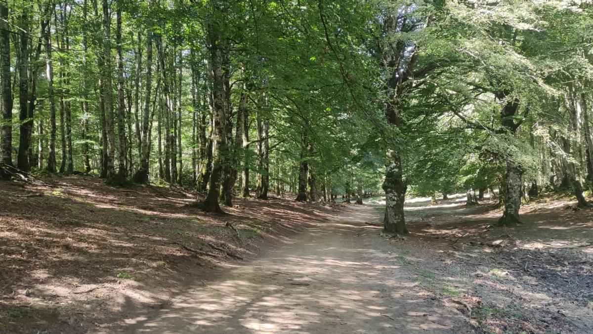 Senda de los montañeros