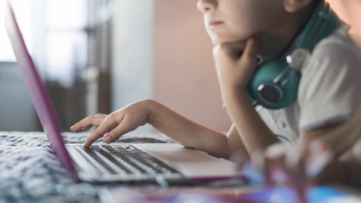 Un niño consultando un ordenador.