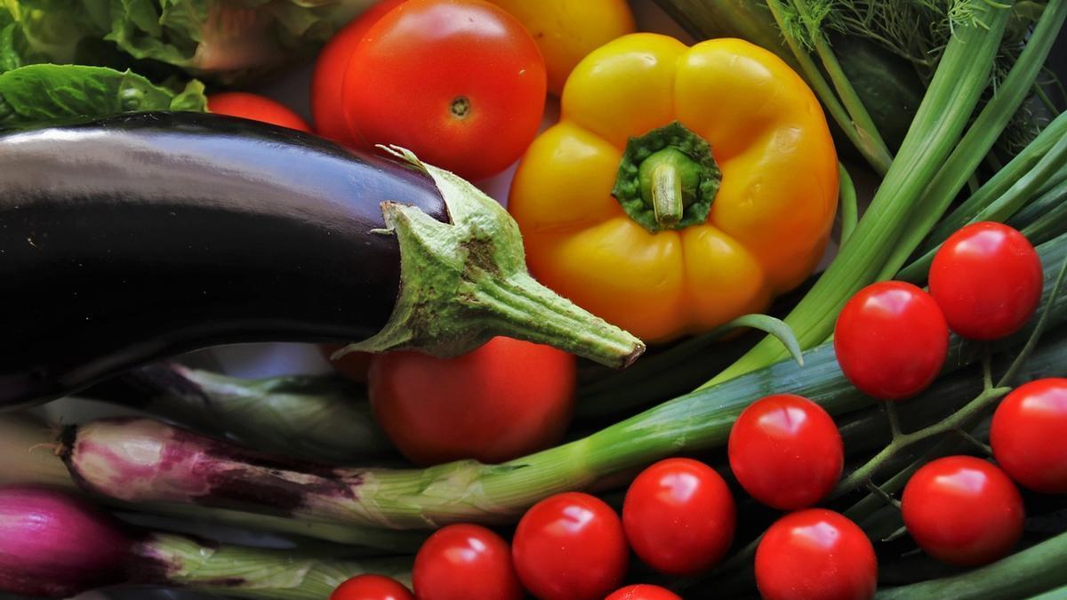 La alimentación solo basada en los vegetales provoca déficits que hay que compensar.