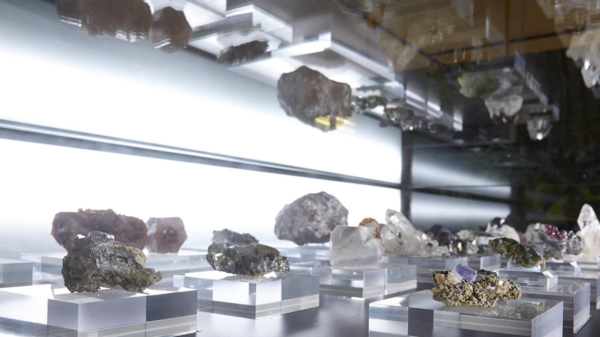 Interior del Museo de Ciencias Naturales de Álava