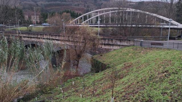 La plantación se llevará a cabo en el entorno del puente de Artunduaga