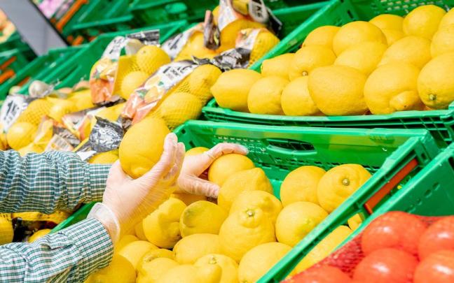 Imagen de unos limones en la sección de frutas de Mercadona.