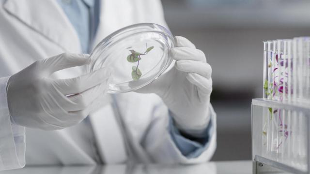 La investigación sanitaria es uno de los campos en los que se espera un gran crecimiento empresarial en la próxima década.