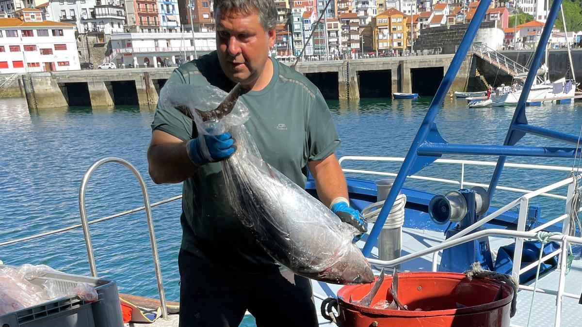 Un arrantzale descarga bonito en puerto.