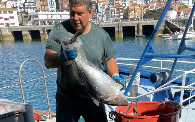 Un arrantzale descarga bonito en puerto.