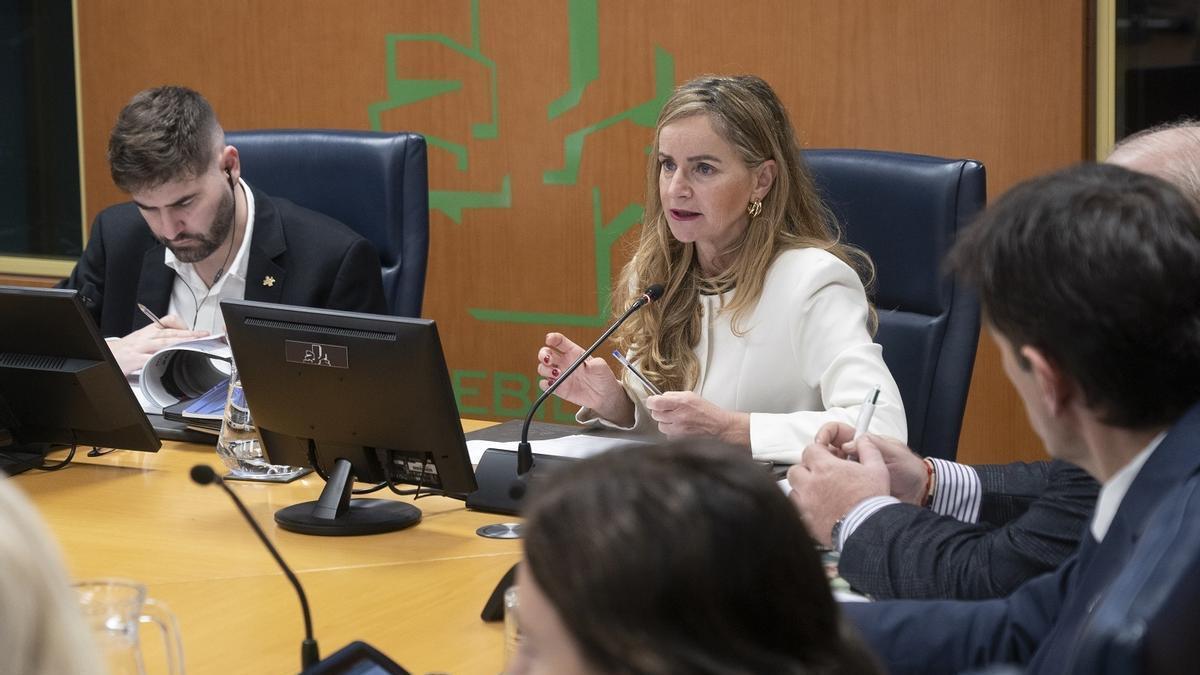 Ainara Herce San Martín, en su comparecencia ante la Comisión de Hacienda y Presupuestos