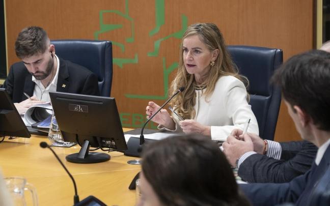 Ainara Herce San Martín, en su comparecencia ante la Comisión de Hacienda y Presupuestos