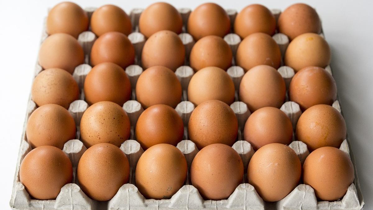 Cartón de huevos