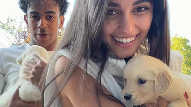 La adquisición de los cachorros ha suscitado la polémica.