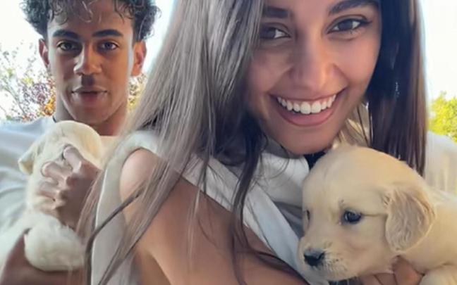 La adquisición de los cachorros ha suscitado la polémica.