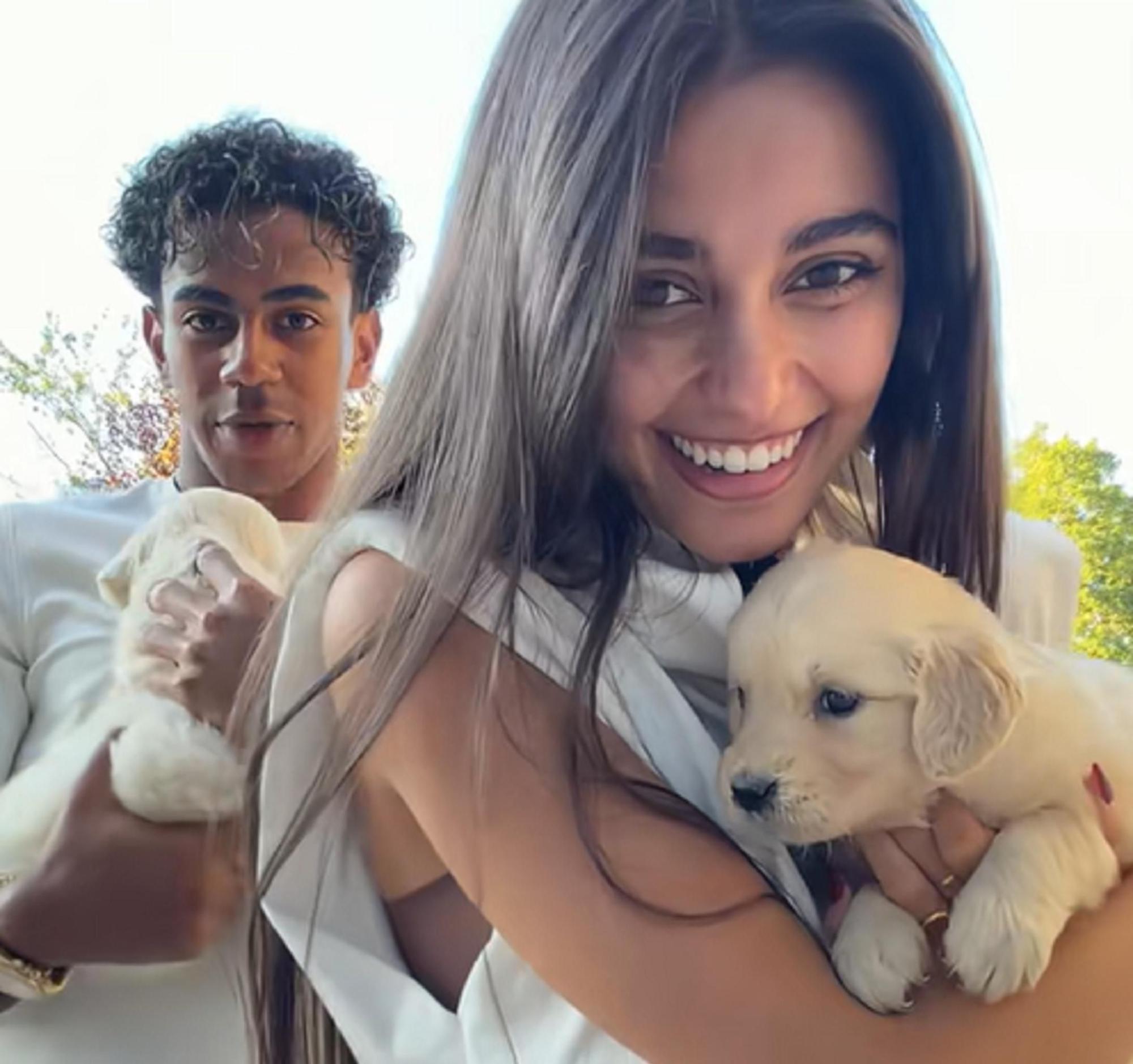 La adquisición de los cachorros ha suscitado la polémica.
