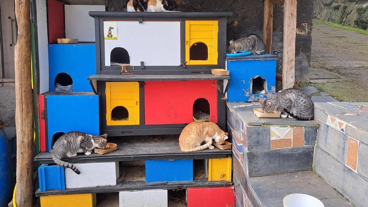 Colonia acondicionada en un barrio de Beasain.