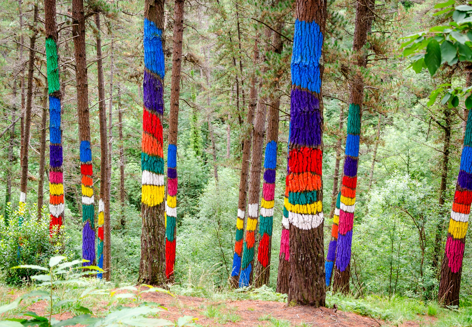 El Bosque de Oma entra en la recta final de su restauración