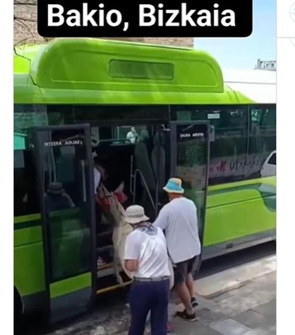 La asociación Haiekin ha denunciado los hechos @haiekinasociacion