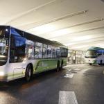 Autobuses en el aeropuerto de Loiu. MARKEL FERNÁNDEZ