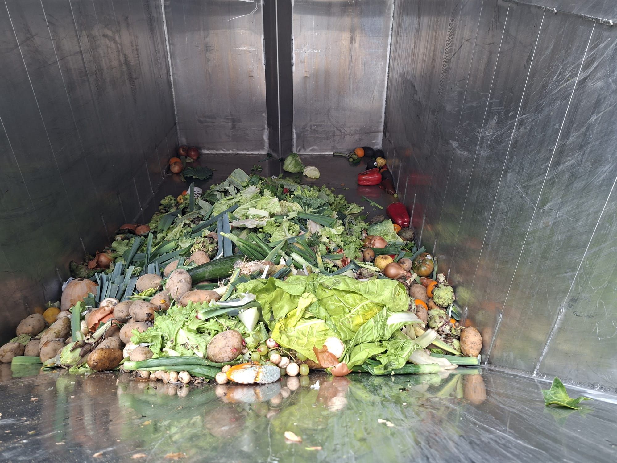 Evitando el despilfarro alimentario