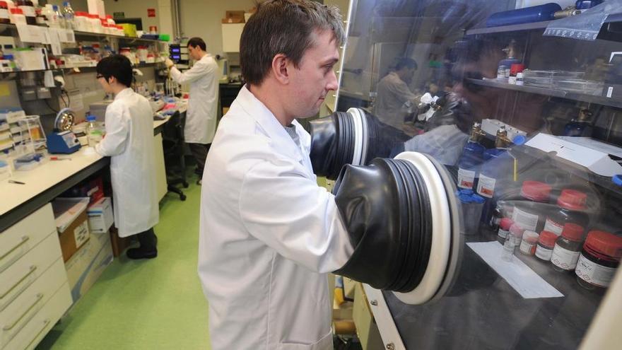 Investigadores trabajando en el CIC Nanogune.