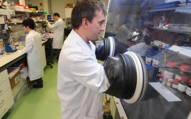 Investigadores trabajando en el CIC Nanogune.