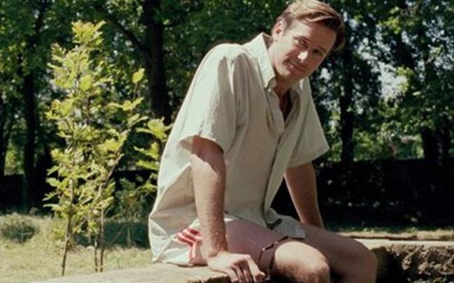 Armie Hammer, actor condenado por agresión sexual