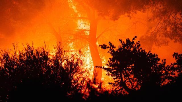 Incendio en Grecia.