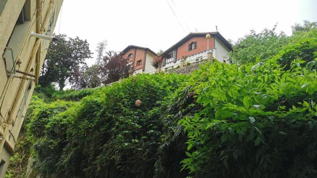 Ladera Langa Txiki-Langa Handi