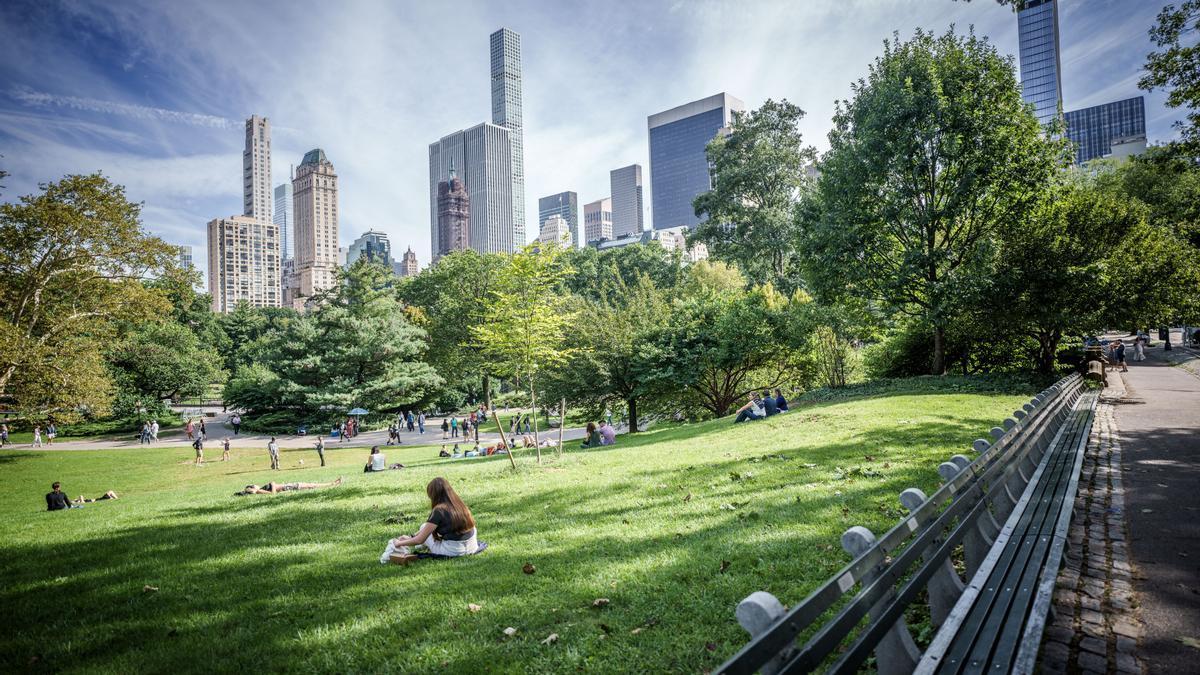 Central Park.