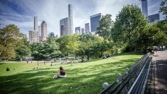 Central Park.