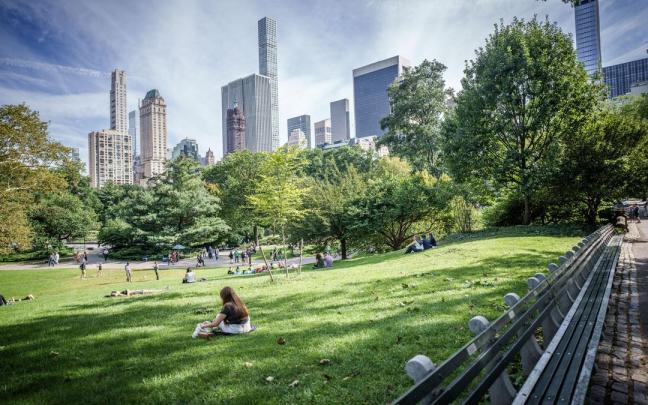 Central Park.