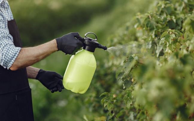 Un agricultor rocía sus plantas con pesticidas. Un agricultor rocía sus plantas con pesticidas.