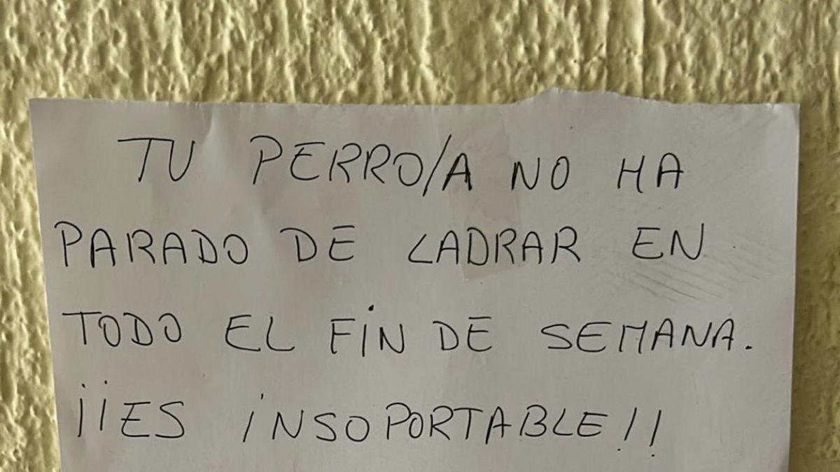 La guerra entre dos vecinos por un perro se hace viral y reabre el debate sobre los ladridos.
