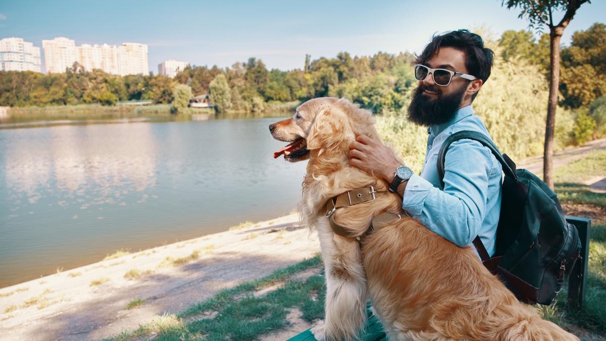 Cada vez son más lo viajeros que se lleva a sus mascotas de vacaciones.