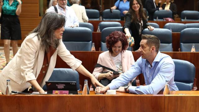 La portavoz de Más Madrid en la Asamblea, Manuela Bergerot (i) y el diputado de Más Madrid, Emilio Delgado.