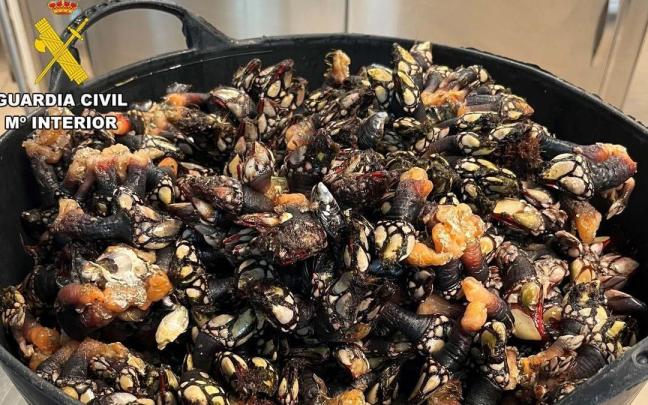 Percebes decomisados por la Guardia Civil en una imagen de archivo.