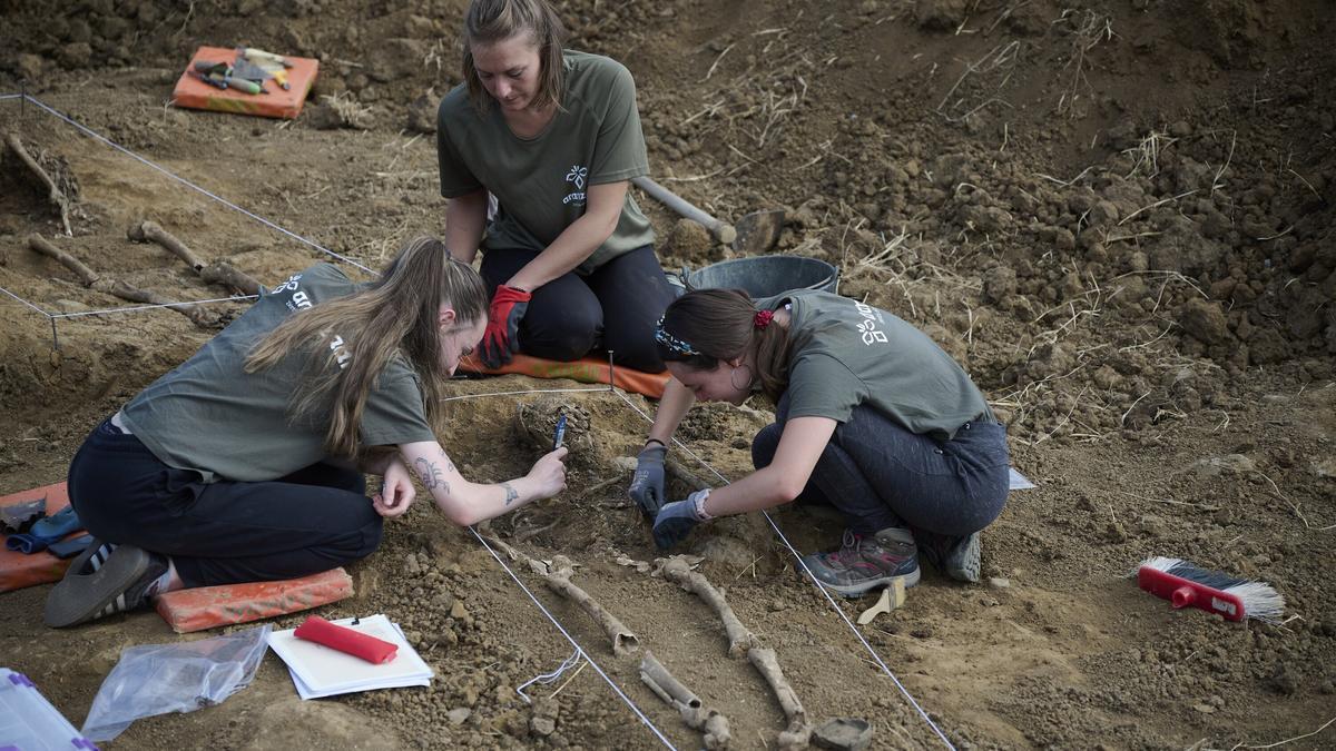 El equipo de la Sociedad de Ciencias Aranzadi realiza los trabajos de exhumación de los restos humanos hallados en una fosa de la Guerra Civil.