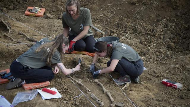 El equipo de la Sociedad de Ciencias Aranzadi realiza los trabajos de exhumación de los restos humanos hallados en una fosa de la Guerra Civil.