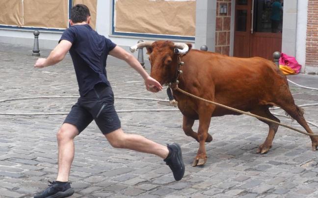 Los toros jugarán un papel destacado en la agenda festiva del 17 de agosto, día de San Roke Txiki.