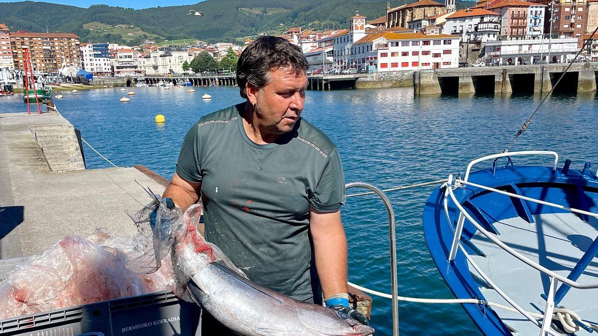 Un arrantzale, durante una descarga de bonito en el puerto de Bermeo.