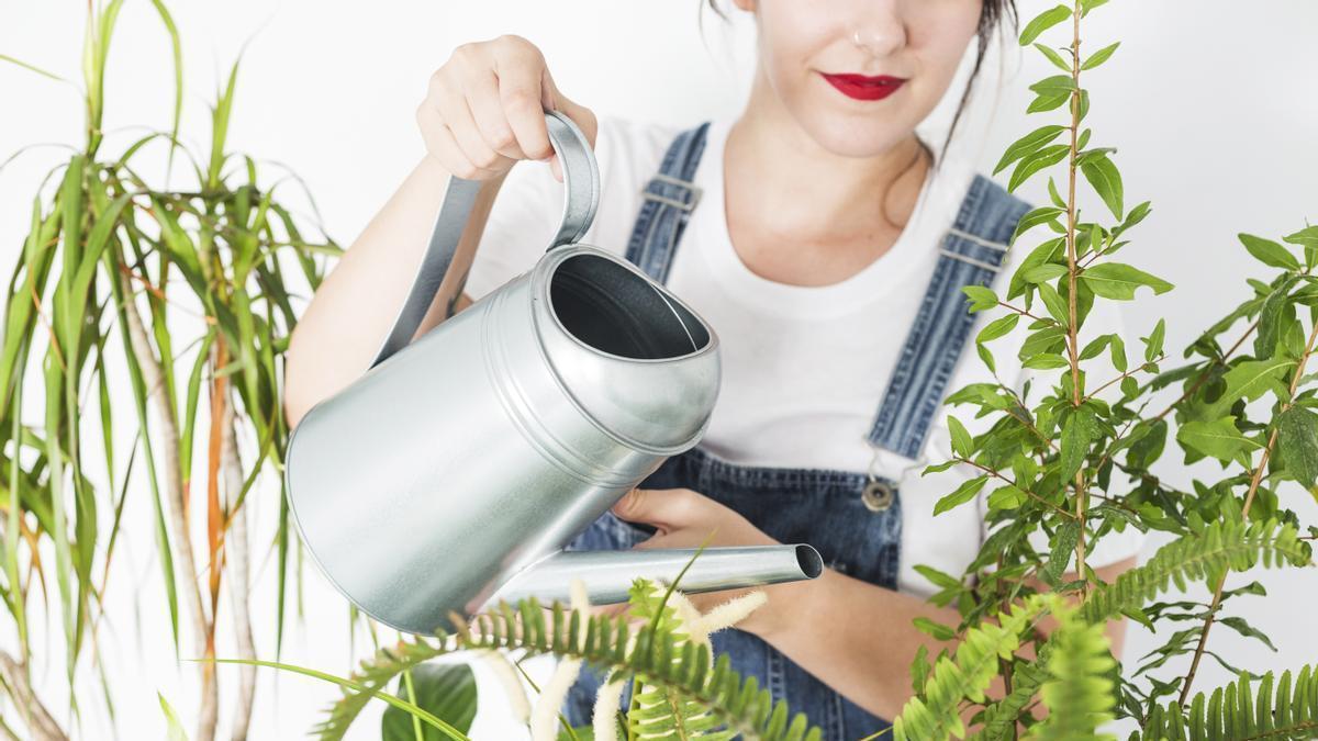 Chica riega las plantas.