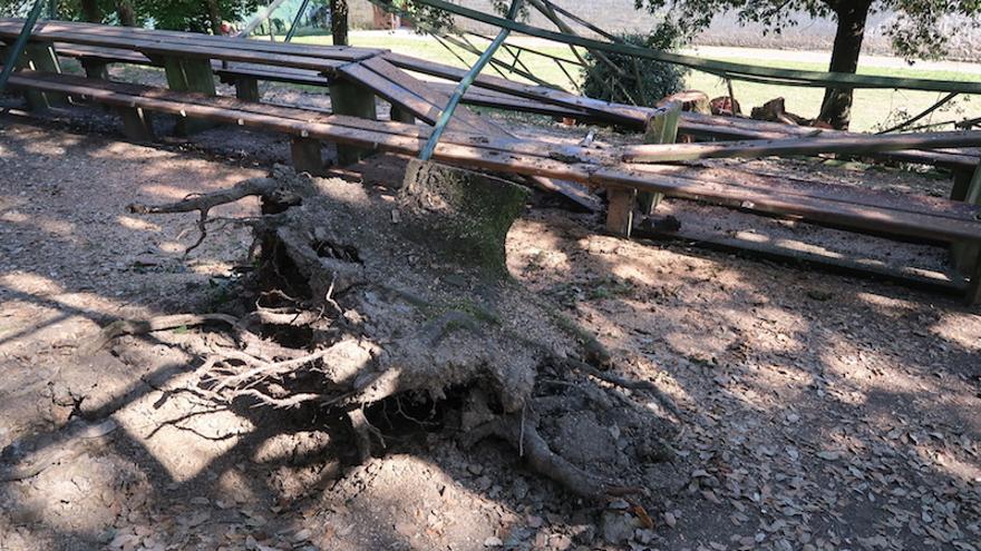 La mesa y la estructura de hierro que destrozó el árbol.