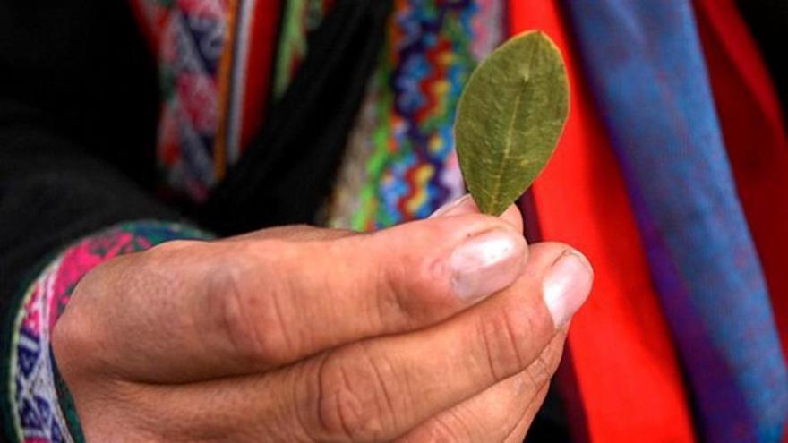 Una mujer boliviana sostiene una hoja de coca.